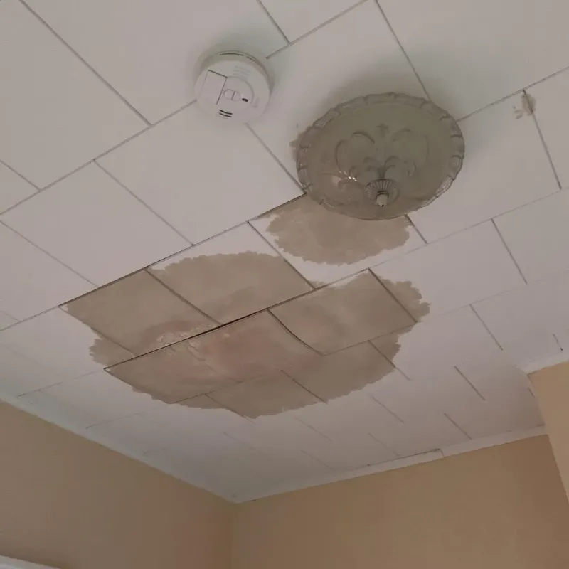 Ceiling Water Damage Repair in Groveton, NH