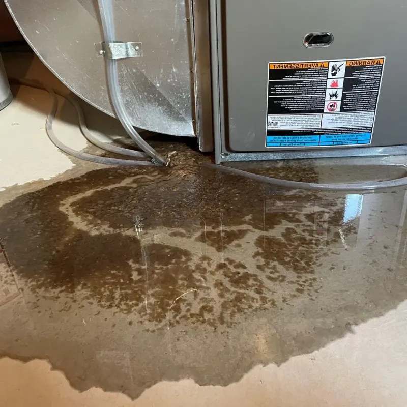 Pipe Burst and Leak Restoration in Groveton, NH